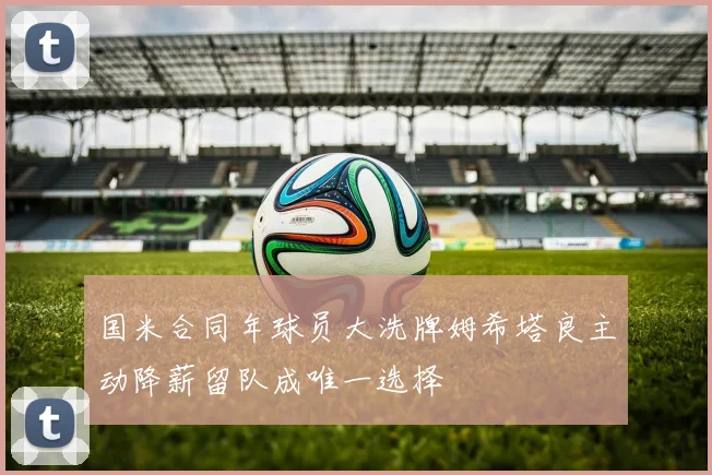 国米合同年球员大洗牌姆希塔良主动降薪留队成唯一选择